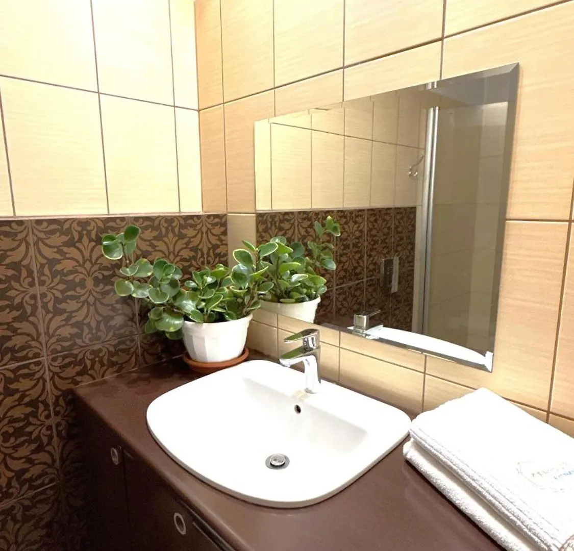 Central Apartments Grobla 3 格但斯克